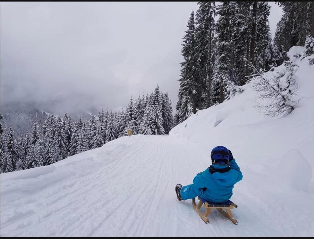 Lieblingsplatz - Ski In Und Ski Out ゼー エクステリア 写真