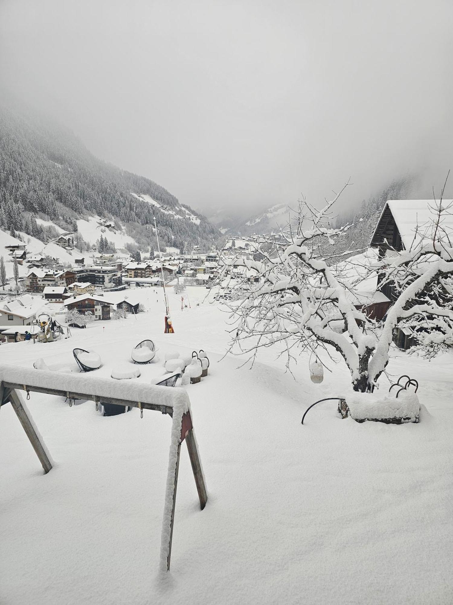 Lieblingsplatz - Ski In Und Ski Out ゼー エクステリア 写真